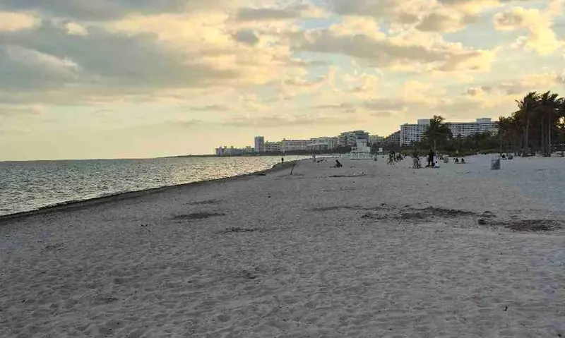 Historic Virginia Beach, Key Biscayne - Beach Days plan with Frank in Miami