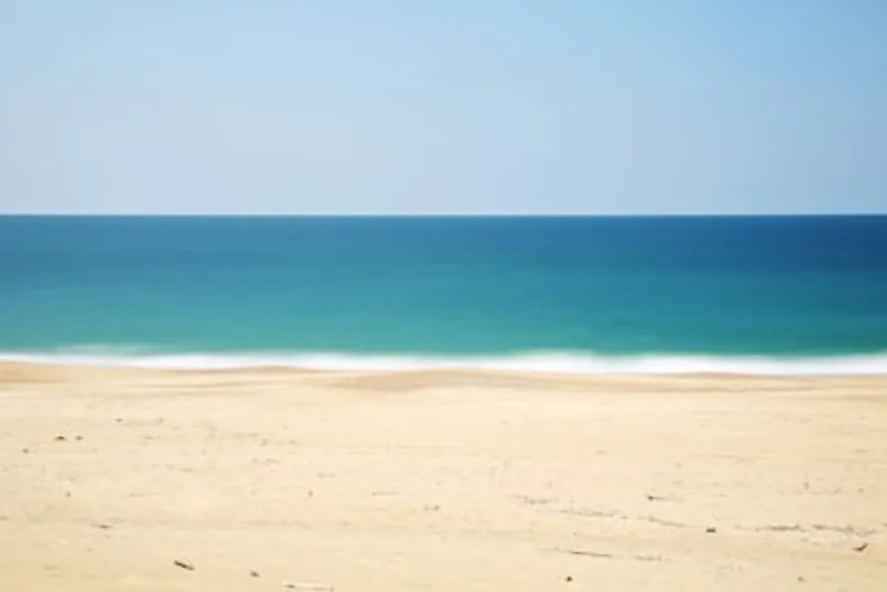 Beach day - Beach Days plan with Deborah in Miami
