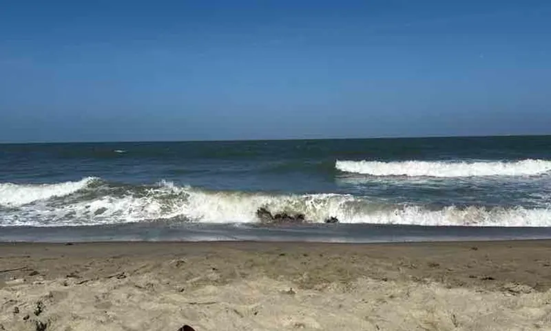 Beach Day, Drinks - Beach Days plan with Annaly in Miami