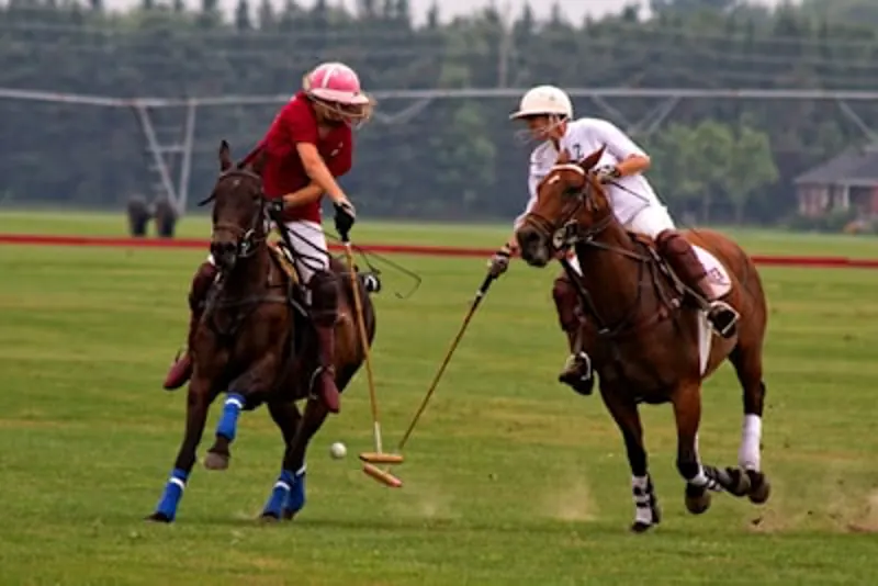 Polo - Sports Events plan with Farhan in Miami