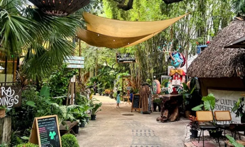 Explore Upper Buena Vista - Lunch plan with Ryan in Miami